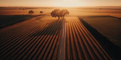 ai generiert. ai generativ. Foto realistisch Illustration von wild Landschaft Landschaft Texas im Amerika. Farmer Abenteuer wild Lebensstil Stimmung. Grafik Kunst