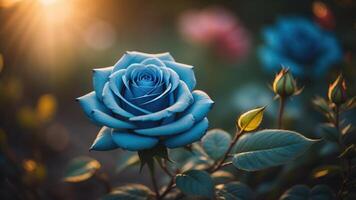 Blau Rose mit ein Sonnenuntergang Licht und Bokeh Hintergrund, ai generiert foto