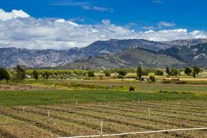 Anbau Felder und Berge beim das Boyaca Abteilung im Kolumbien foto