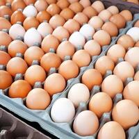 ein Tablett von Eier von das Bauernhof generativ ai generiert foto