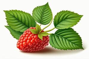 Himbeeren mit Blätter isoliert auf Weiß Hintergrund. generativ ai foto