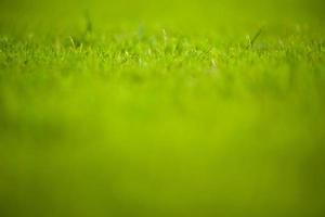 abstrakte Textur und Hintergrund der Graswiese und des Feldes mit selektivem Fokusbereich