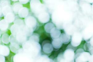 abstrakt Natur Grün und Weiß Bokeh von Baum Hintergrund, z Hintergrund foto
