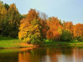 Herbst Bäume auf das Bank von das Teich. hell Herbst Landschaft mit rot Bäume. foto