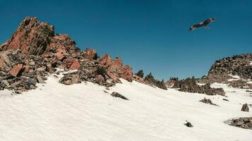 Panorama- Aussicht von das Scharf Felsen bedeckt durch Schnee und Eis. ein Drachen fliegt Über das Berg. Winter Berg Landschaft. foto