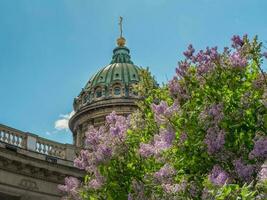 das Sommer- szenisch mit Kazan Kathedrale im lila Blumen, ikonisch foto