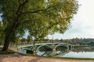 Panorama- Aussicht von das Grün Brücke im zaritsyno Park, Moskau. foto