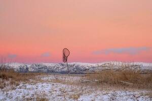 minimalistisch Winter Arktis Landschaft mit ein Netz auf das Ufer bedeckt mit spärlich Vegetation und ein hell Rosa Himmel foto