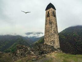 uralt Schlacht Turm im das Nähe von das jeyran Schlucht. mittelalterlich Turm Komplex Erzi, einer von das größten mittelalterlich Schlosstyp Turm Dörfer, gelegen im Inguschetien, Russland. foto