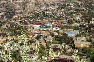 Moschee im das Center von ein Berg Dorf. Landschaft und Landschaft von Stadtbild im gut. Dagestan. foto