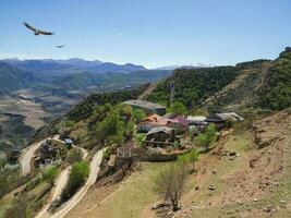 Adler fliegen Über ein Berg Dorf. gunib Hochland Dorf platziert auf ein Berg Plateau im Kaukasus Berge. alpin Dorf gunib. Republik von Dagestan foto