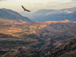 Adler fliegt Über ein Berg Schlucht. bunt sonnig Morgen Landschaft mit Silhouetten von groß felsig Berge und Epos tief Schlucht. foto