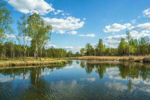 schön Russisch Landschaft mit Birken durch das Teich foto