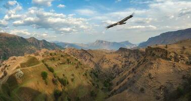 Berg Senke mit ein hochfliegend Adler. ein felsig Leiste Dehnen in das Entfernung gegen das Hintergrund von Berge bedeckt mit spärlich Vegetation. Panorama- Sicht. foto