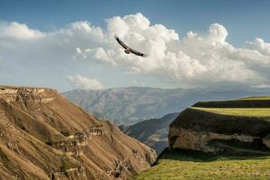 atmosphärisch Landschaft mit Silhouetten von rot und Grün Berge. Adler fliegt Über ein Berg Schlucht. Hunzah. Dagestan. foto