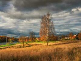 hell Herbst rustikal Landschaft mit ein hoch Baum durch das Straße. dunkel Himmel Über das Dorf Vor das Sturm foto