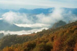 cool Morgen Nebel Über das Wald Berg Pisten. foto