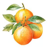 frisch Aquarell Orange Frucht. Illustration ai generativ foto