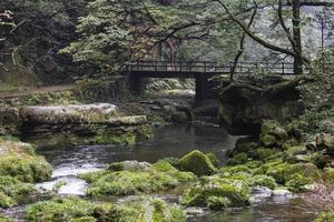 Brücke über Wasser foto