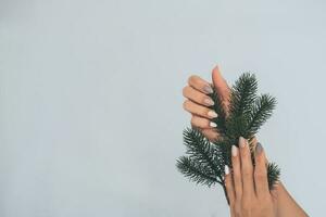 Frauen ist Hand mit ein schön matt Oval Maniküre. weiblich Hände sind halten ein Neu Jahr ist ein Fichte Ast. Lack Beige Nägel mit Gel Polieren, Schellack. Kopieren Raum. Weihnachten Maniküre. foto