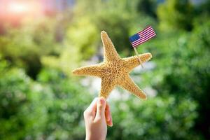 Seestern hält das amerikanisch Flagge auf ein verschwommen Grün Hintergrund. Arbeit Tag Urlaub Konzept. 4 .. von Juli USA Unabhängigkeit Tag. Kopieren Raum zum Text. foto