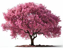 groß Rosa Kirsche blühen Baum auf Weiß Hintergrund. Digital Kunst Stil. generativ ai foto