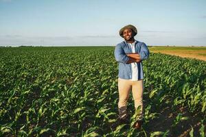 afro Farmer Stehen im ein Mais Feld foto