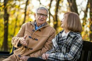 ein Senior Paar Ausgaben Zeit zusammen im das Park foto