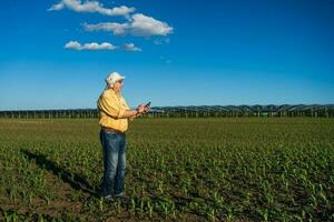 Farmer Stehen im ein Mais Feld foto