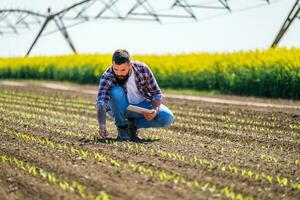 Farmer ist Prüfung das Fortschritt von Pflanzen foto