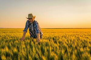 Farmer Stehen im ein Weizen Feld foto