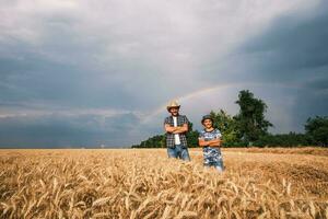 Vater und Sohn sind Stehen im ihr Weizen Feld foto