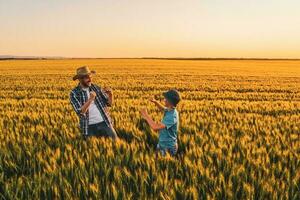 Vater und Sohn Stehen im ein Weizen Feld foto