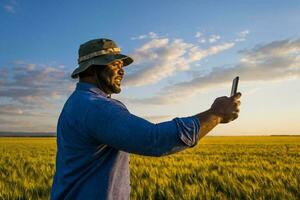 afro Farmer Stehen im ein Weizen Feld foto