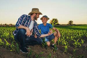 Vater und Sohn Stehen im ein Mais Feld foto