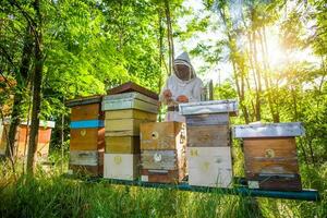 Imker ist Prüfung seine Bienenstöcke foto