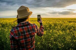 ein Farmer steht im ein Raps Feld und untersucht das Fortschritt von Pflanzen foto