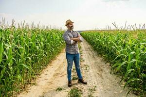 stolz Farmer ist Stehen im seine wachsend Mais Feld foto