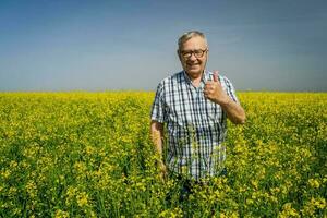 ein Farmer Prüfung ein Raps Feld foto