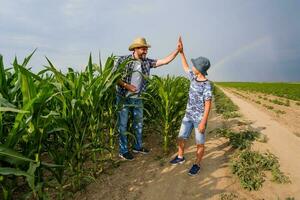 Vater und Sohn sind Stehen im ihr Mais Feld foto