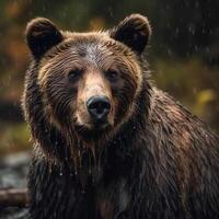 wild Bär im natürlich Lebensraum ai generiert foto