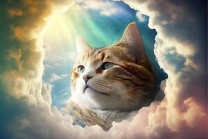 Katze im Himmel Paradies Illustration generativ ai foto