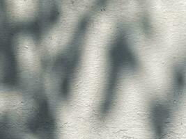 Blätter Schatten Hintergrund auf Beton Mauer Textur, Blätter Baum Geäst Schatten mit Sonnenlicht foto