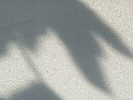 Blätter Schatten Hintergrund auf Beton Mauer Textur, Blätter Baum Geäst Schatten mit Sonnenlicht foto