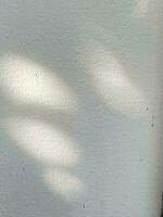 Blätter Schatten Hintergrund auf Beton Mauer Textur, Blätter Baum Geäst Schatten mit Sonnenlicht foto