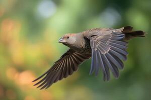 majestätisch Vogel im Flug gegen ein verschwommen Hintergrund. ai generiert foto