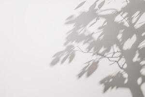 ein Schatten von ein Baum auf ein Weiß Mauer. ai generiert foto