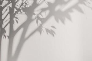 ein Schatten von ein Baum auf ein Weiß Mauer. ai generiert foto