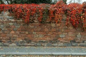 Stein Mauer und Kopfsteinpflaster Bürgersteig foto