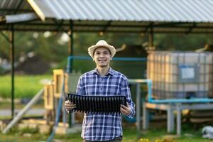 Porträt von asiatisch Farmer halten Sämling Tablett im seine Bio Permakultur Ansatz Garten zu wachsen seine besitzen Essen und Gemüse im das Landschaft foto